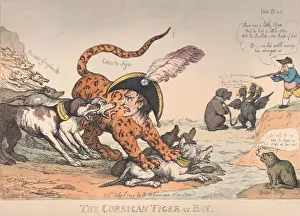 Greyhounds Prints: The Corsican Tiger at Bay!, July 8, 1808. July 8, 1808. Creator: Thomas Rowlandson
