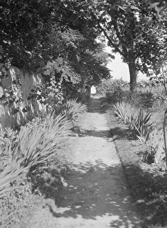 Walled Garden Prints: Cosgrave grounds, not before 1917. Creator: Arnold Genthe