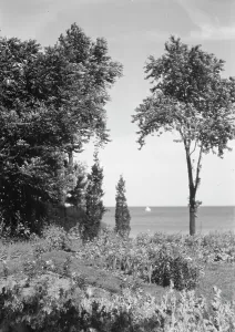 Cosgrave Prints: Cosgrave grounds, not before 1917. Creator: Arnold Genthe