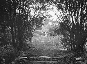 Shady Prints: Cosgrave grounds, not before 1917. Creator: Arnold Genthe