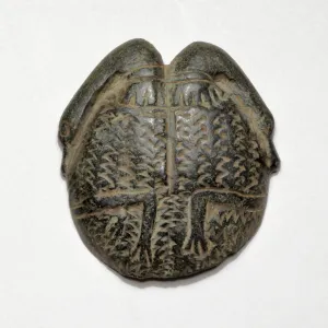 Cosmetic Saucer Decorated with Swans, Egypt, New Kingdom