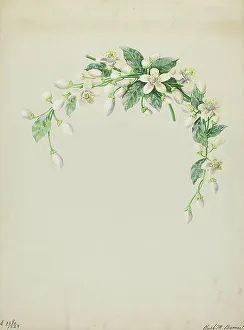 Costume Accessory (Orange Blossoms), c. 1937. Creator: Ruth M. Barnes