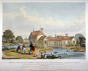 Cottage erected in St Jamess Park for the Ornithological Society of London, Westminster, 1844