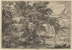 Van Ruisdael Jacob Isaacksz Prints: Cottage on a Hill. Creator: Jacob van Ruisdael