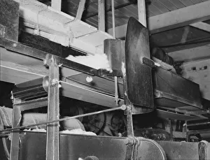 Weighing Device Prints: Cotton from the bale is transported by belt