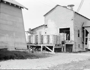 Raw Materials Prints: Cotton bales on gin platform, Robstown, Texas, 1936. Creator: Dorothea Lange