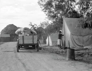 Possessions Prints: Cotton camp near Exeter, California, 1936. Creator: Dorothea Lange