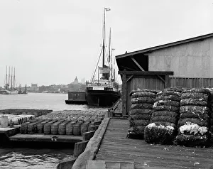 Cotton docks, Savannah, Ga. c1907. Creator: Unknown