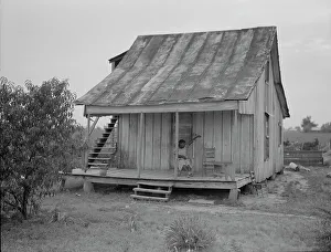 Shack Prints: Cotton field hand sitting on her porch on Sunday afternoon