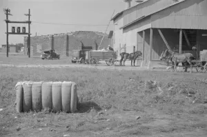 At the cotton gin, Cotton gin and wagons, Hale County, Alabama, 1936. Creator: Walker Evans