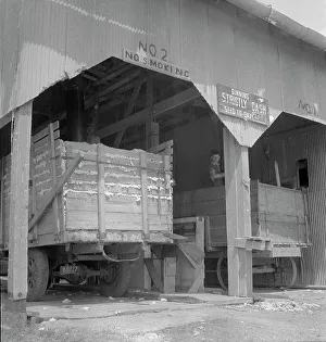 Cotton Gin Prints: The cotton gin near Robstown, Texas, 1936. Creator: Dorothea Lange