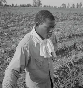 Mississippi United States Of America Prints: Cotton hoer, Coahoma County, Mississippi, 1937. Creator: Dorothea Lange