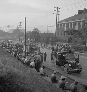 Lorries Prints: Cotton hoers, Memphis, Tennessee, 1937. Creator: Dorothea Lange