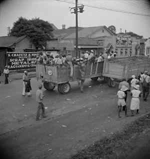 Overcrowded Prints: Cotton hoers from Memphis, Tennessee are carried by trucks to the Arkansas plantations