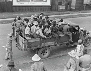Southerner Prints: Cotton hoers are transported to the fields daily during the season