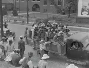 Southerner Prints: Cotton hoers are transported to the fields daily during the season