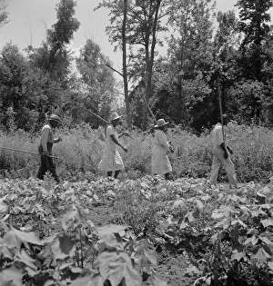 Hoeing Prints: These cotton hoers work from 6 am to 7 pm for one dollar near Clarksdale