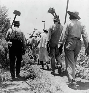 Hoeing Prints: These cotton hoers work from 6 am to 7 pm for one dollar near Clarksdale