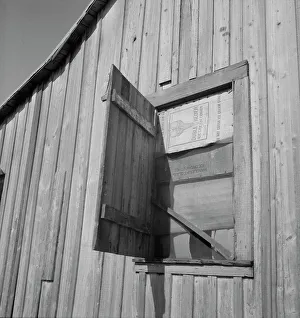 Makeshift Prints: Cotton laborer's house, Louisiana, 1937. Creator: Dorothea Lange