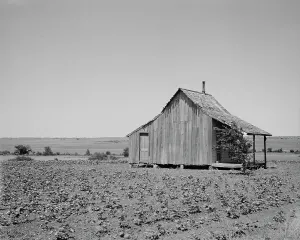 Deserted Prints: The cotton lands of Ellis County, Texas, 1937. Creator: Dorothea Lange