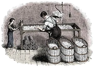 Cotton manufacture, c1845 Cotton manufacture, c1845