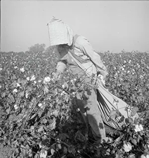 Cotton Sack Prints: Cotton picker, Southern San Joaquin Valley, California, 1936. Creator: Dorothea Lange