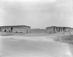 Corrugated Iron Prints: Cotton pickers camp near Robstown, Texas, 1936. Creator: Dorothea Lange