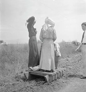 Sunhat Prints: Cotton picking in south Texas, 1936. Creator: Dorothea Lange