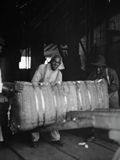 Interiors Prints: At the cotton press, New Orleans, between 1920 and 1926. Creator: Arnold Genthe