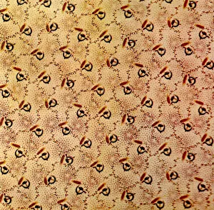 Cotton Print