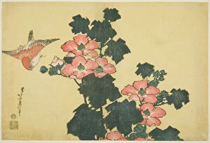Rose Gallery: Cotton Roses and Sparrow, from an untitled series of Large Flowers, Japan, c. 1833 / 34