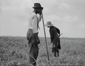 Sharecropper Prints: Cotton sharecroppers, Greene County, Georgia, 1937. Creator: Dorothea Lange