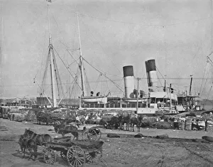 New Orleans Prints: A Cotton Steamer at New Orleans, 19th century