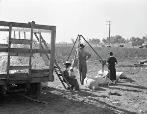 Fencing Prints: Cotton weigher, Southern San Joaquin Valley, California, 1936. Creator: Dorothea Lange