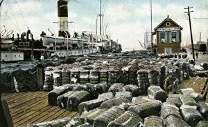 Bale Gallery: Cotton wharves, New Orleans, Louisiana, USA, early 20th century