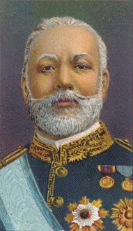 Butterfly Medium Gallery: Count Hayashi Tadasu, (1850-1913), career diplomat and cabinet minister in Meiji period Japan, 1906