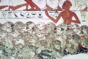 Counting the geese: fragment of wall painting from the tomb of Nebamun, Thebes, Egypt Counting the geese: fragment of wall painting from the tomb of Nebamun, Thebes, Egypt