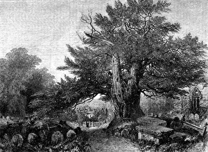 Samuel Read Prints: A Country Churchyard - painted by Samuel Read - from the Exhibition of the Society of British Arti Creator: M