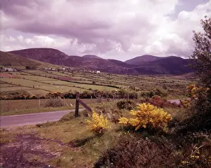 Down Prints: County Down, Northern Ireland, c1955. Creator: Arthur Charles Kirby Ware