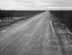 Plains Prints: County road between potato fields, Kern County, California, 1939. Creator: Dorothea Lange