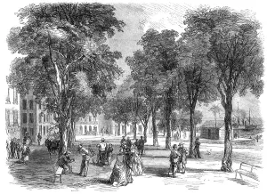 Promenading Prints: The Cours Nolivos, or Public Promenade of Basseterre