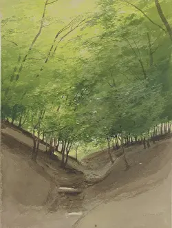 Sloped Prints: Course of a stream in a forest, 1855. Creator: Carl Theodor Reiffenstein