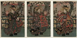Chopine Collection: Courtesans Shigeoka, Sugatano and Hanamurasaki. Triptych. From the Series The Beauties of