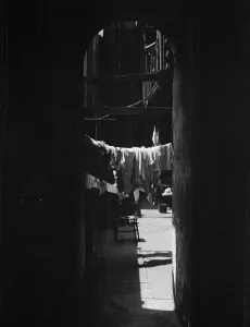 Clothes Line Prints: Courtyard with hanging laundry, New Orleans, between 1920 and 1926. Creator: Arnold Genthe
