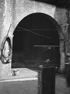Courtyard, New Orleans, between 1920 and 1926. Creator: Arnold Genthe