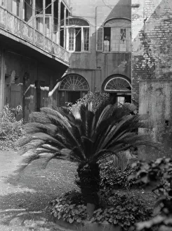 Backyard Prints: Courtyard, New Orleans, between 1920 and 1926. Creator: Arnold Genthe