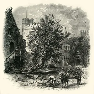 Sydney Gallery: The Courtyard, Penshurst, c1870