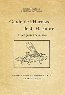 Cover of a booklet on entomology, 1933