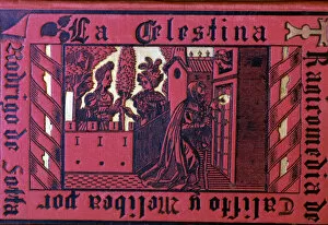 Celestina Gallery: Cover of La Celestina by Fernando de Rojas, 1883 edition