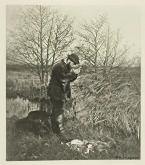 Cigarettes Gallery: At the Covert Corner (Norfolk), c. 1883 / 87, printed 1888. Creator: Peter Henry Emerson